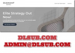 High-resolution cover artwork of Diamant Capital 2024 digital course